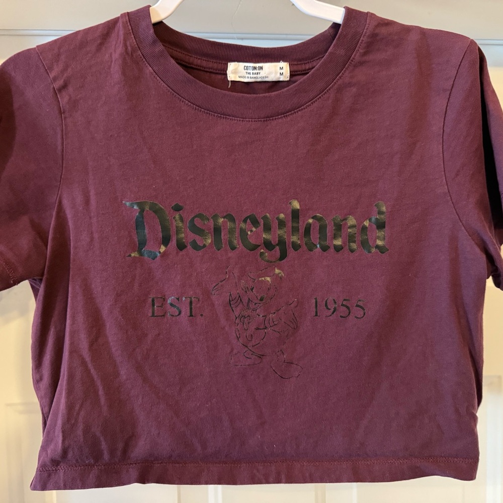 Cotton On Maroon Disneyland Crop Top